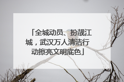 全城动员、扮靓江城，武汉万人清洁行动擦亮文明底色