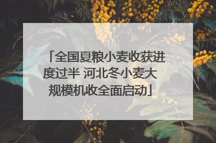 全国夏粮小麦收获进度过半 河北冬小麦大规模机收全面启动