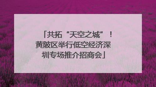 共拓“天空之城”！黄陂区举行低空经济深圳专场推介招商会