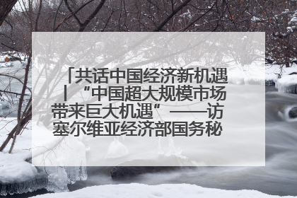 共话中国经济新机遇丨“中国超大规模市场带来巨大机遇”——访塞尔维亚经济部国务秘书尼科利奇
