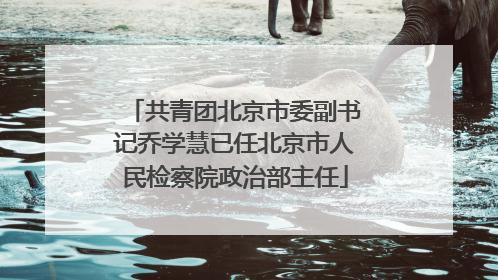 共青团北京市委副书记乔学慧已任北京市人民检察院政治部主任