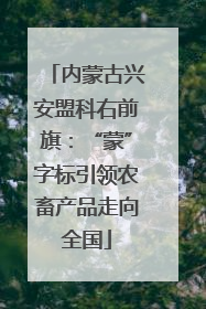 内蒙古兴安盟科右前旗：“蒙”字标引领农畜产品走向全国