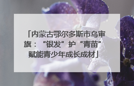 内蒙古鄂尔多斯市乌审旗：“银发”护“青苗” 赋能青少年成长成材