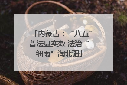 内蒙古：“八五”普法显实效 法治“细雨”润北疆