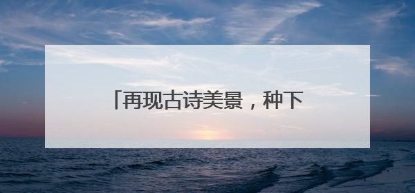 再现古诗美景，种下致富希望，西湖景区村民自发茶园植树