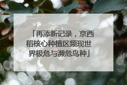 再添新记录，京西稻核心种植区频现世界极危与濒危鸟种