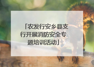 农发行安乡县支行开展消防安全专题培训活动