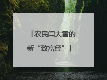 农民闫大雷的新“致富经”