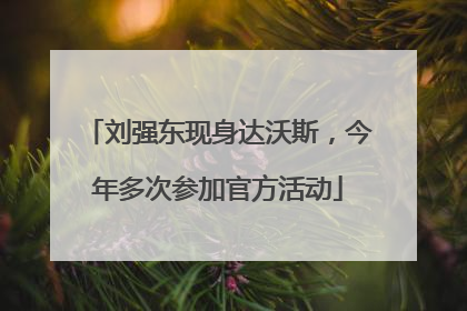 刘强东现身达沃斯，今年多次参加官方活动