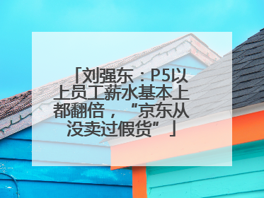 刘强东：P5以上员工薪水基本上都翻倍，“京东从没卖过假货”