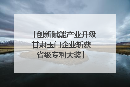 创新赋能产业升级 甘肃玉门企业斩获省级专利大奖