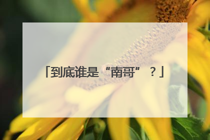 到底谁是“南哥”？