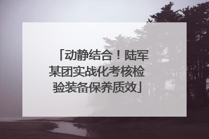 动静结合！陆军某团实战化考核检验装备保养质效