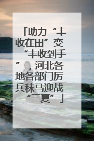 助力“丰收在田”变“丰收到手”，河北各地各部门厉兵秣马迎战“三夏”