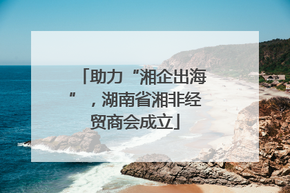 助力“湘企出海”，湖南省湘非经贸商会成立