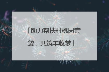 助力帮扶村桃园套袋，共筑丰收梦