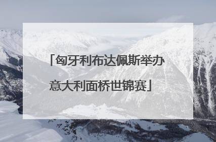 匈牙利布达佩斯举办意大利面桥世锦赛