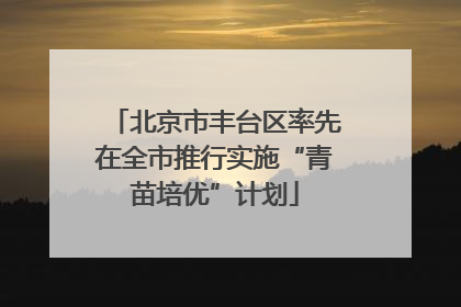 北京市丰台区率先在全市推行实施“青苗培优”计划