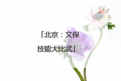 北京：文保技能大比武