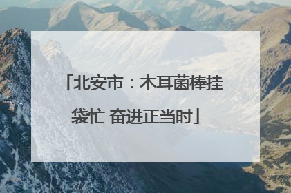 北安市：木耳菌棒挂袋忙 奋进正当时