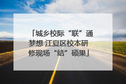 城乡校际“联”通梦想 江夏区校本研修现场“结”硕果