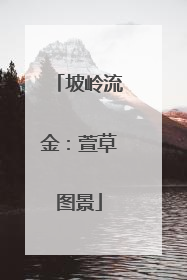 坡岭流金：萱草图景