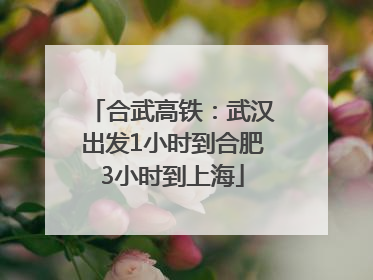 合武高铁：武汉出发1小时到合肥3小时到上海
