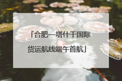 合肥—塔什干国际货运航线端午首航