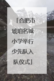 合肥市琥珀名城小学举行少先队入队仪式