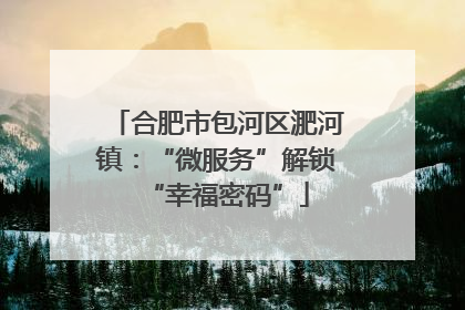 合肥市包河区淝河镇：“微服务”解锁“幸福密码”