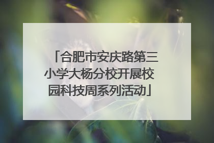合肥市安庆路第三小学大杨分校开展校园科技周系列活动