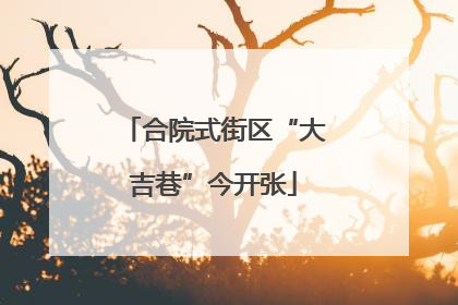 合院式街区“大吉巷”今开张