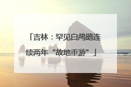 吉林：罕见白鸬鹚连续两年“故地重游”