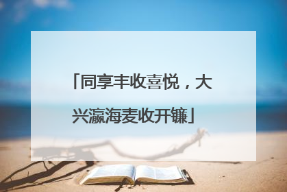 同享丰收喜悦，大兴瀛海麦收开镰