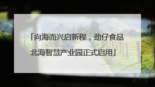 向海而兴启新程，劲仔食品北海智慧产业园正式启用