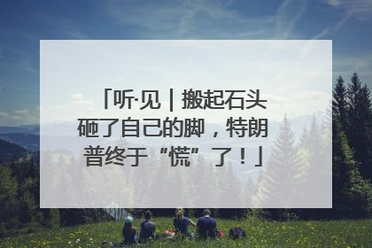 听·见｜搬起石头砸了自己的脚，特朗普终于“慌”了！