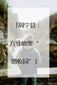 周宁县：方寸地变“增收园”
