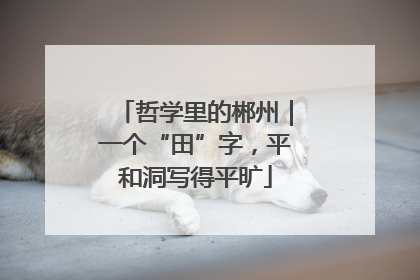 哲学里的郴州｜一个“田”字，平和洞写得平旷