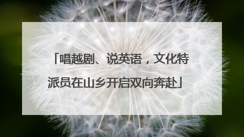 唱越剧、说英语，文化特派员在山乡开启双向奔赴