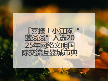 喜报！小江豚“蓝叒叒”入选2025年网络文明国际交流互鉴城市典型案例