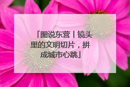图说东营丨镜头里的文明切片，拼成城市心跳