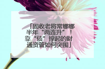 固收老将常娜娜半年“两连升”！靠“债”撑起的财通资管如何突围