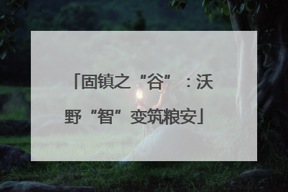 固镇之“谷”：沃野“智”变筑粮安