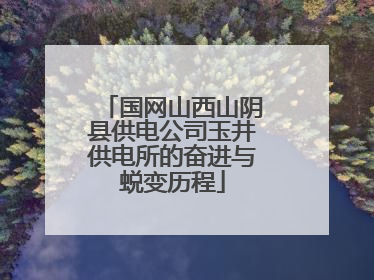 国网山西山阴县供电公司玉井供电所的奋进与蜕变历程