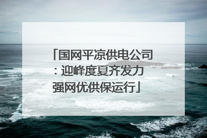 国网平凉供电公司：迎峰度夏齐发力 强网优供保运行