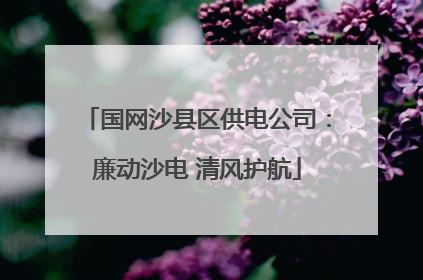 国网沙县区供电公司：廉动沙电 清风护航
