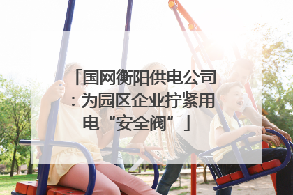 国网衡阳供电公司：为园区企业拧紧用电“安全阀”