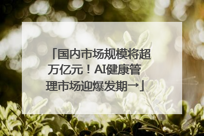 国内市场规模将超万亿元！AI健康管理市场迎爆发期→