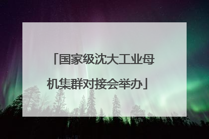 国家级沈大工业母机集群对接会举办
