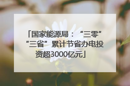 国家能源局：“三零”“三省”累计节省办电投资超3000亿元